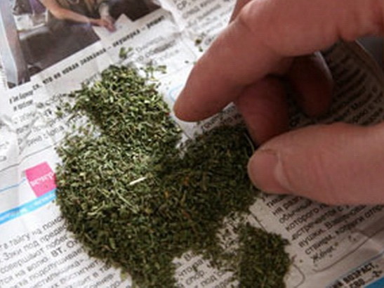 Оренбургские наркополицейские изъяли более шести килограммов марихуаны 